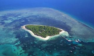 世界上最大的岛屿